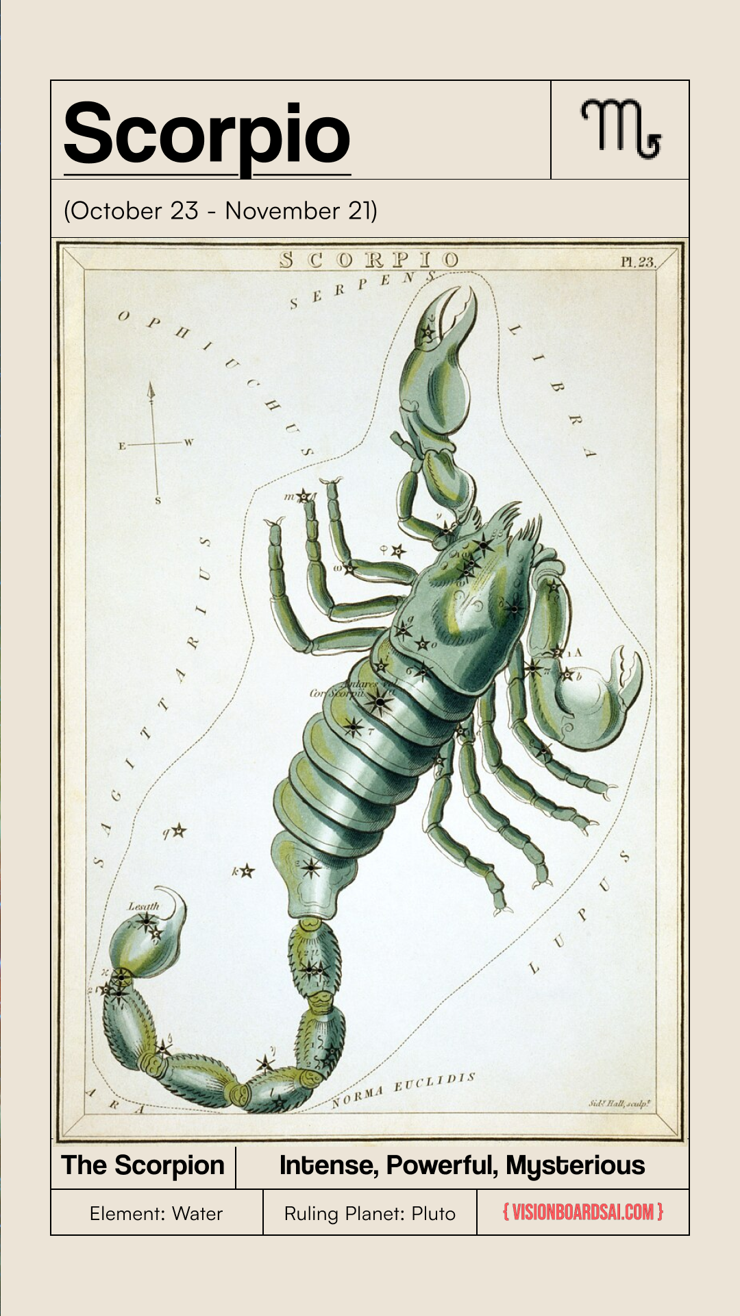 Scorpio in 2025: Transformation, Power, and Deep Connections